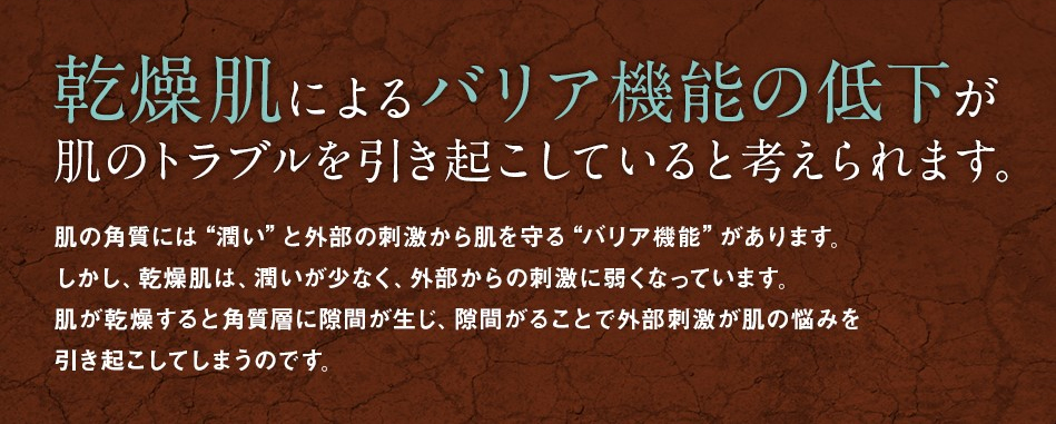 乾燥肌によるバリア機能の低下が肌のトラブルを引き起こしている